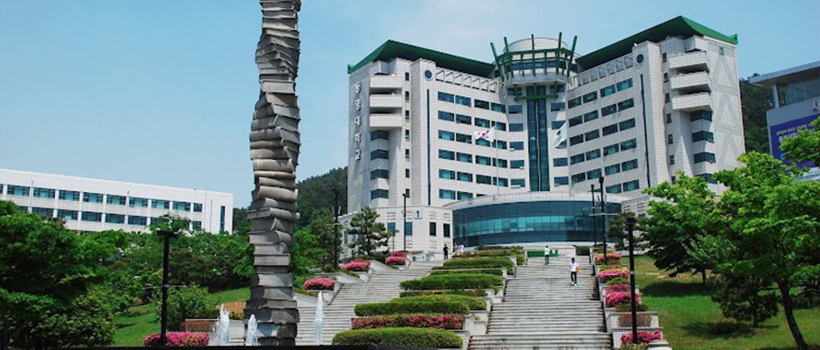 Study in South Korea | Affordable Education & Vibrant Culture